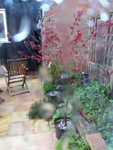 RainyDay