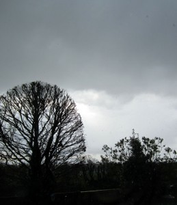 RainySky