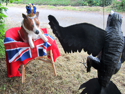 Corgi&Crow