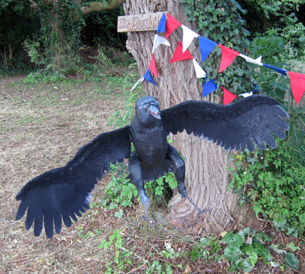 Crow