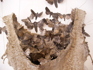 Detail of Moth Dress by Louise Richardson