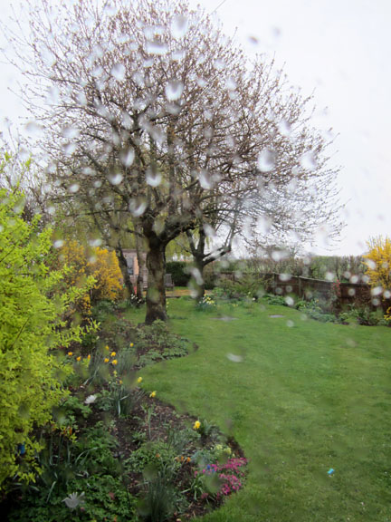 Norfolk garden viewed through a rain spattered window