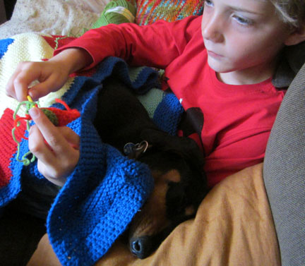 small dog helping small boy to knit
