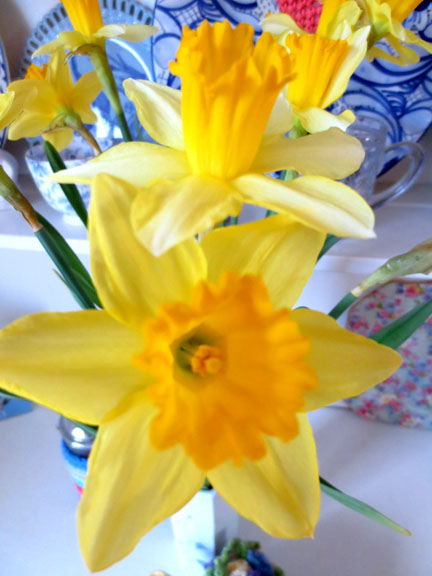 Daffodils on dresser