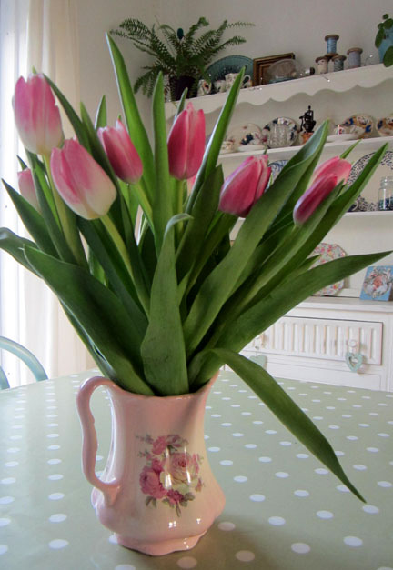 Pink tulips for a birthday