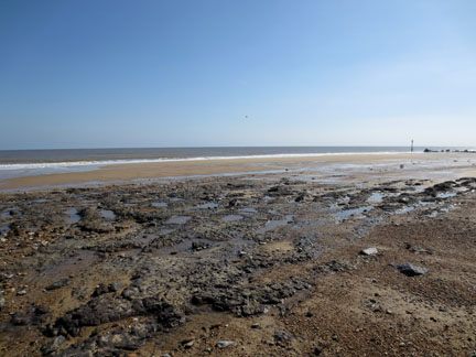 clay exposed by coastal erosion - Norfolk