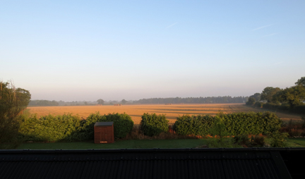 morning field