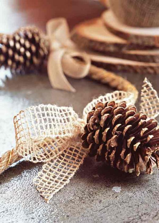 pine cone and bows Christmas Countdown
