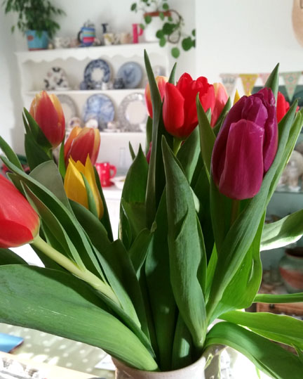 Happy Friday Tulips