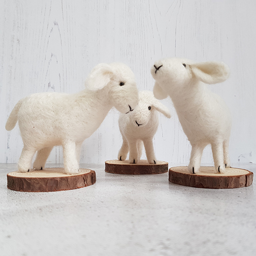 Needleflet lambs